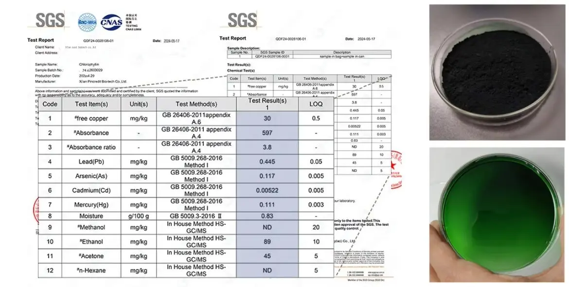 Factory Chlorophyll Copper Sodium Salt - Third-Party Testing