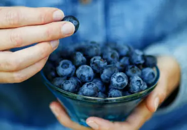 What does blueberry extract do for your skin?