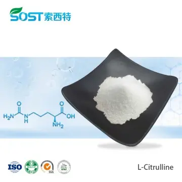 L-Citrulline Powder CAS 372-75-8 L Citrulline