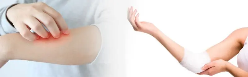 L-Oxidized Glutathione
