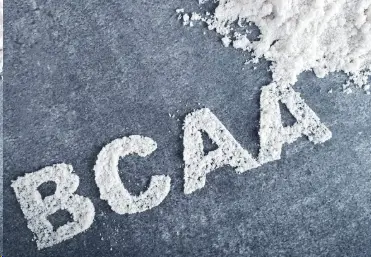 What does BCAA powder do to your body?
