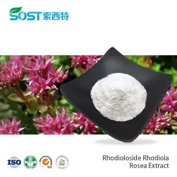 Rhodioloside Rhodiola Rosea Extract Powder