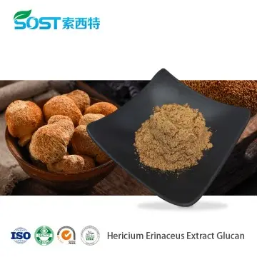 Lion's Mane Beta Glucan