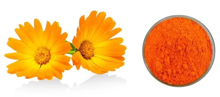 high-quality lutein powder