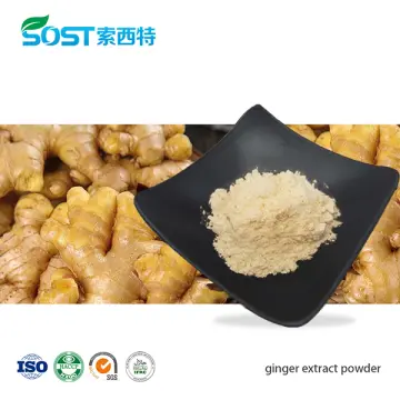 Ginger Extract Powder