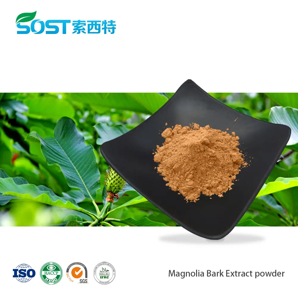 Magnolia Bark Extract powder.jpg