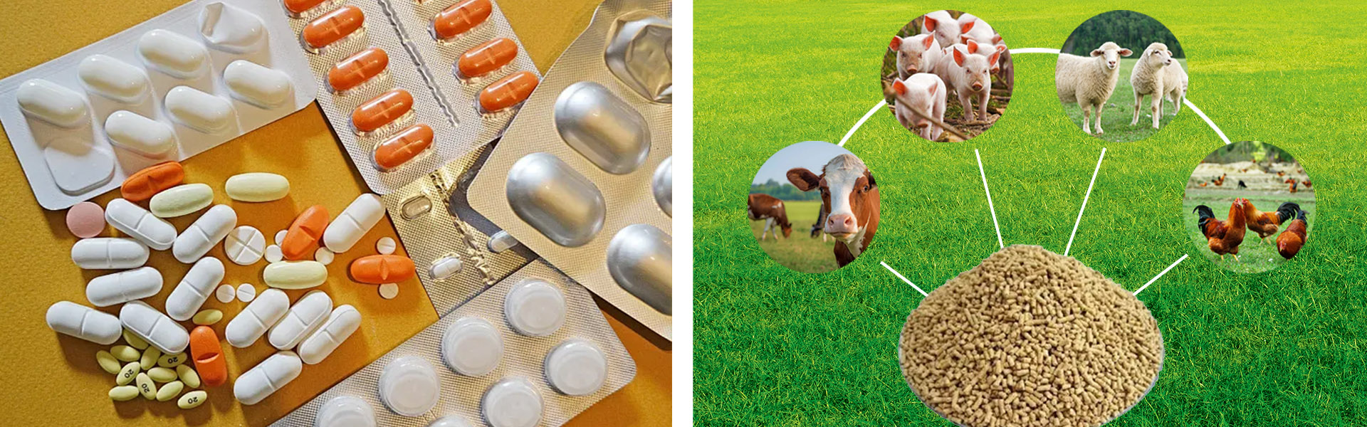 Alpha-lipoic Acid application