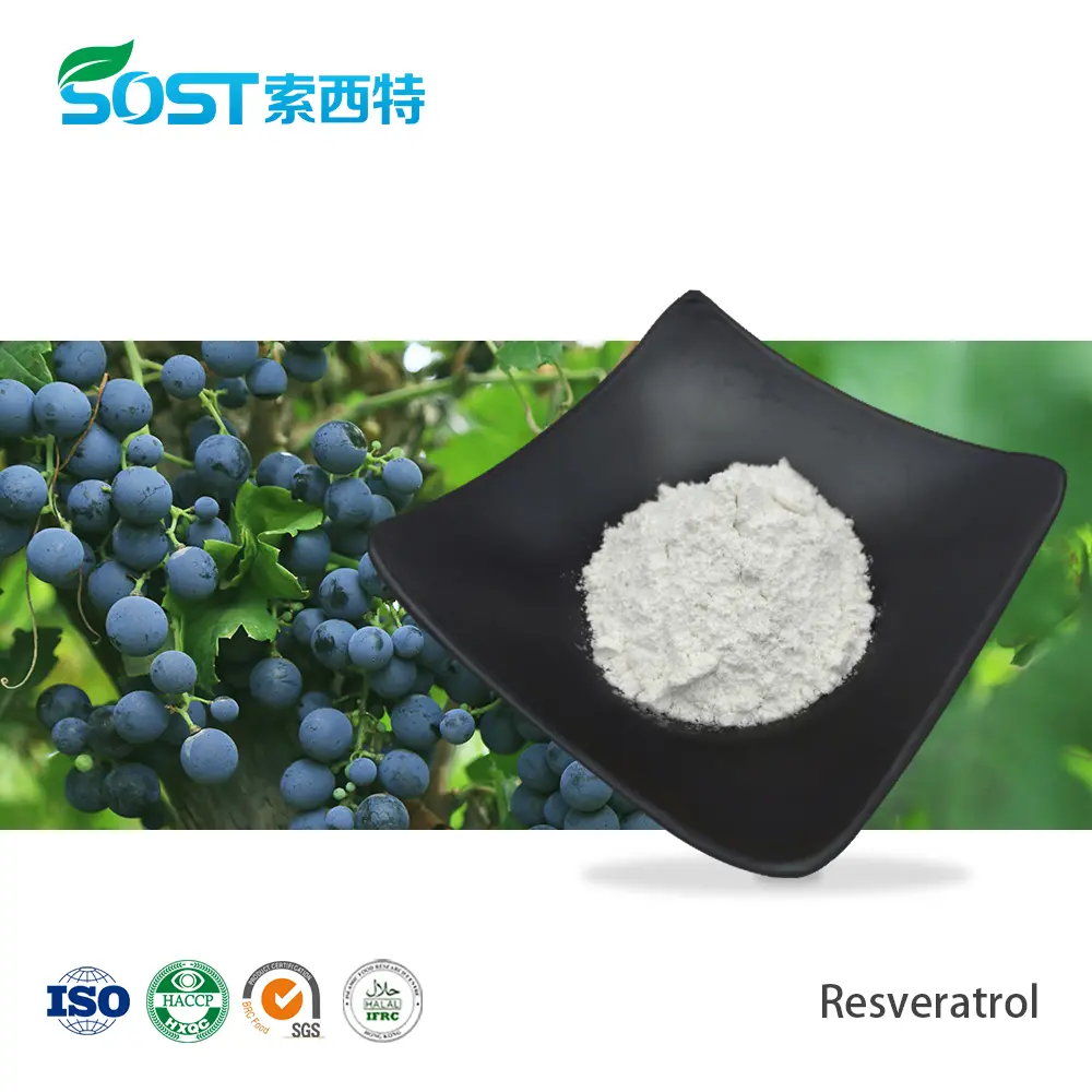 Resveratrol Powder CAS 501-36-0