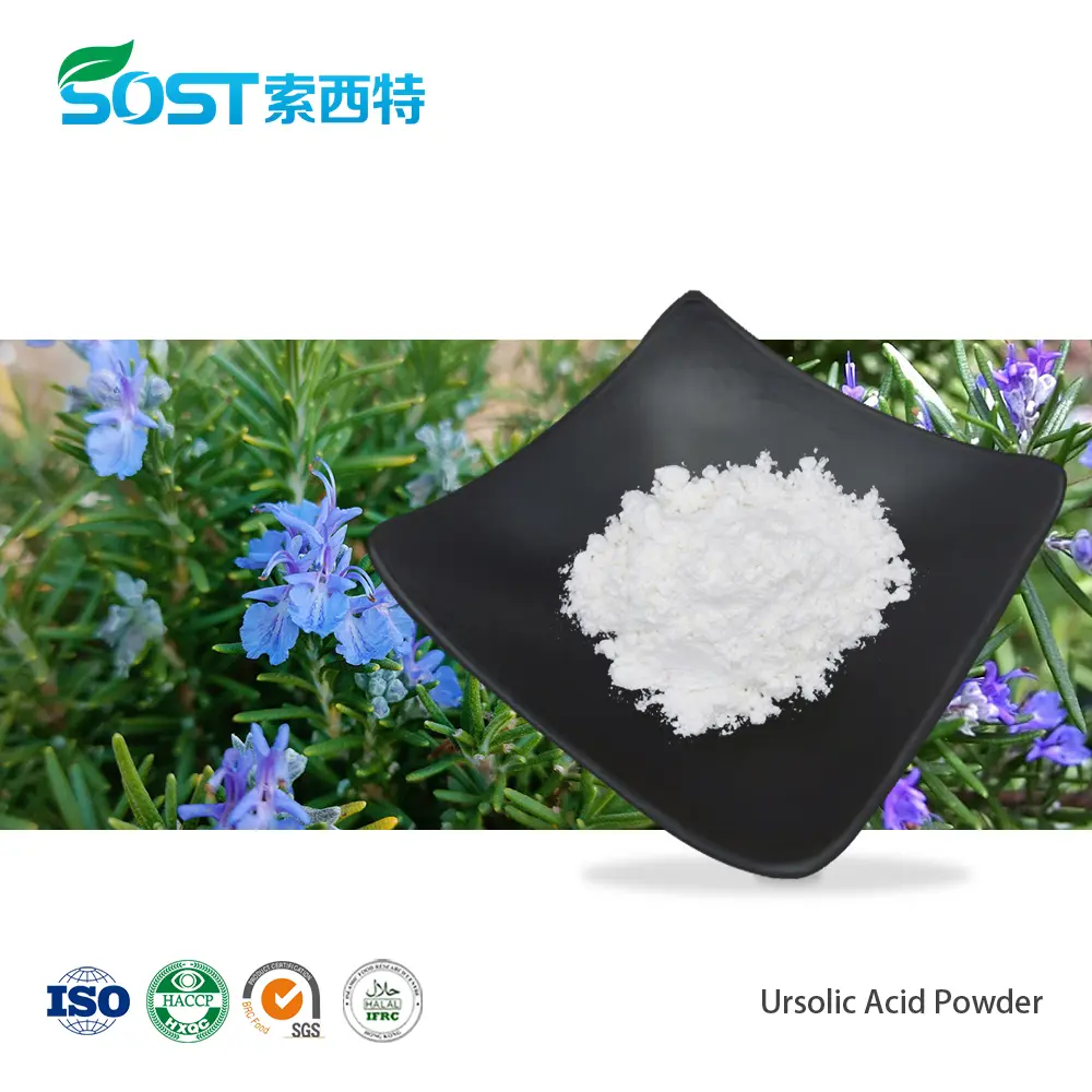 Ursolic Acid Powder