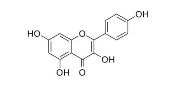 L-Kaempferol