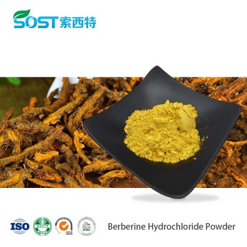 Berberine Hydrochloride Powder