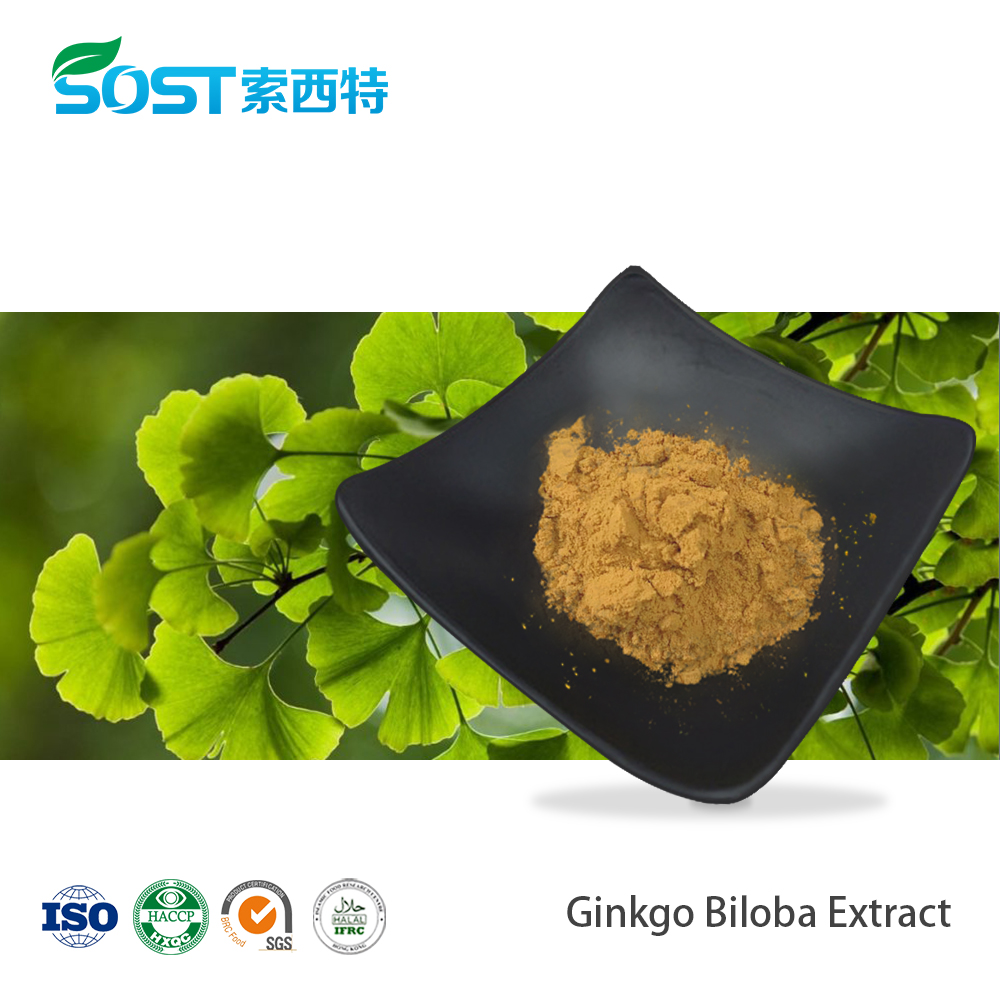 Ginkgo Biloba Extract flavones 24% lactones 6%