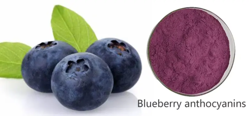 blueberry anthocyanin