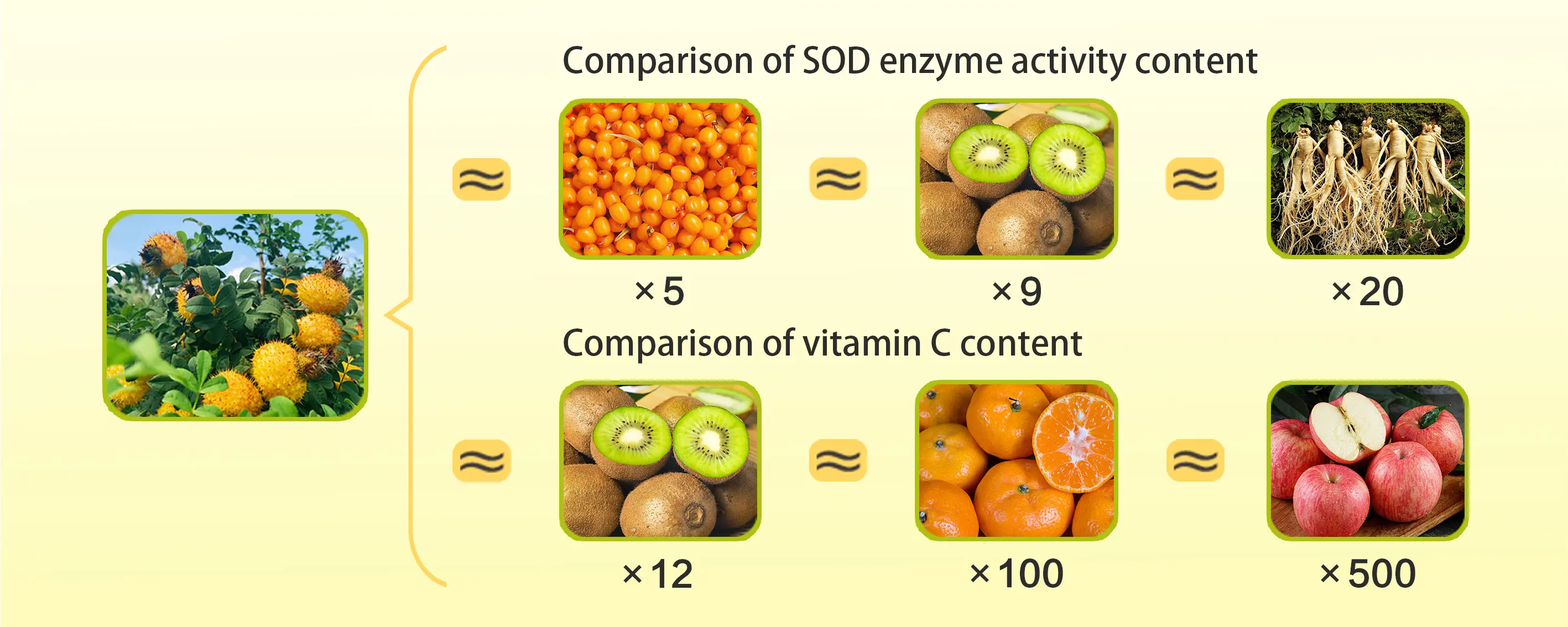 SOD enzyme activity content