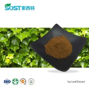 Ivy Leaf Extract
