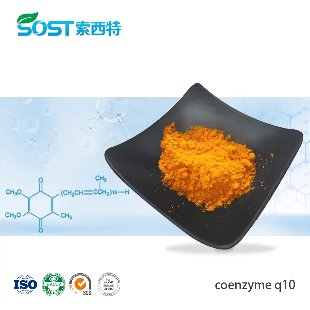 Coenzyme Q10 Powder Manufacturer