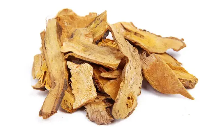 Polygonum cuspidatum resveratrol