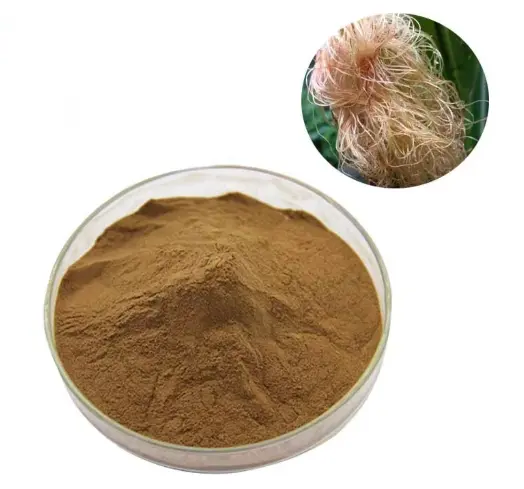 Corn Silk Extract