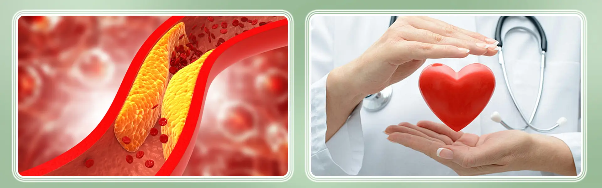 Nattokinase application