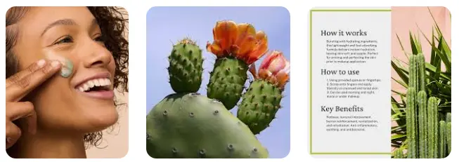 cactus extract benefits