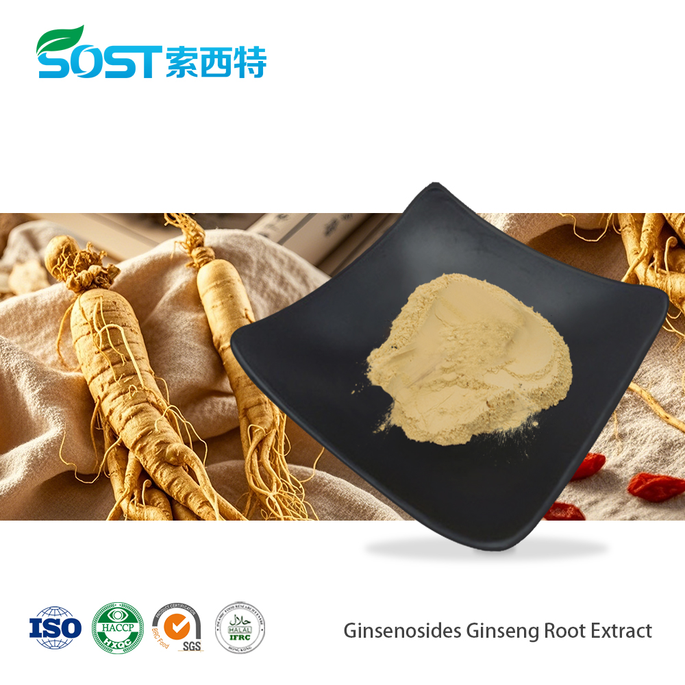 Ginsenoside powder