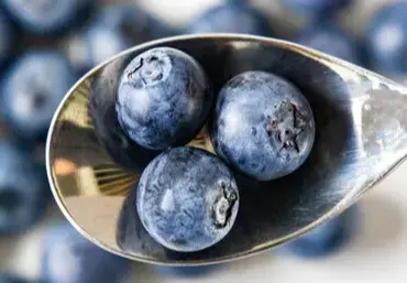 Health Benefits of Pterostilbene