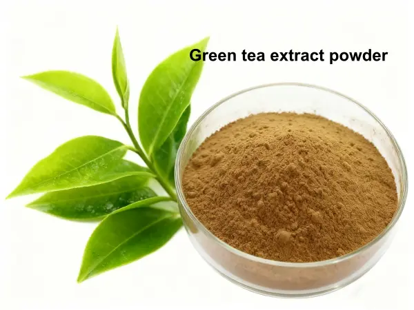 Green tea extract powder
