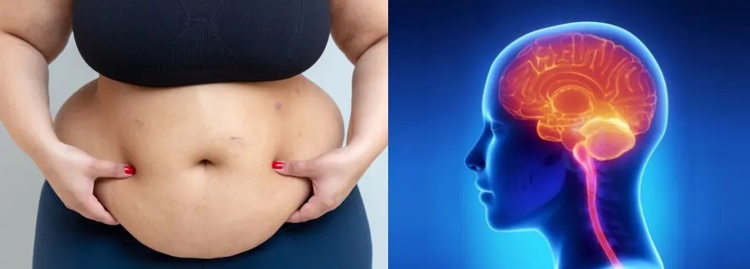 Fat Metabolism Regulation