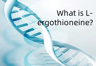 what is L-ergothioneine?