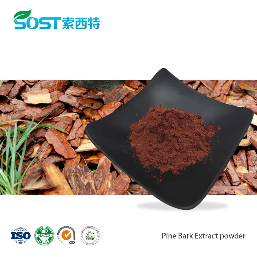 Pine Bark Extract powder.jpg
