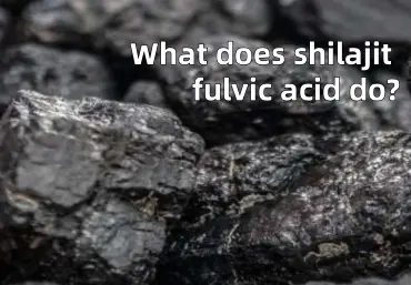 What does shilajit fulvic acid do?