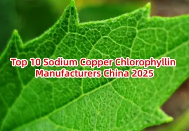 Top 10 Sodium Copper Chlorophyllin Manufacturers China 2025