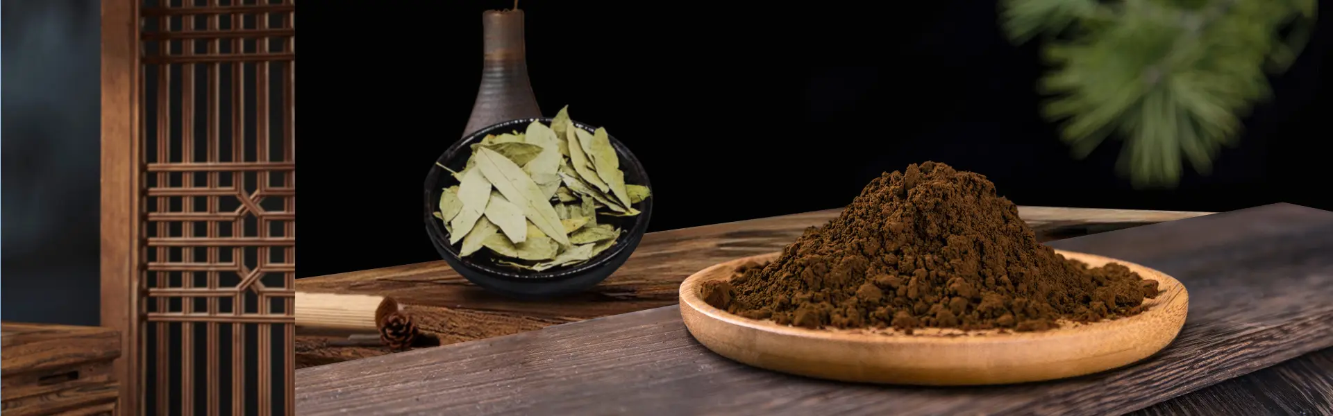 Senna Leaf Extract Sennoside