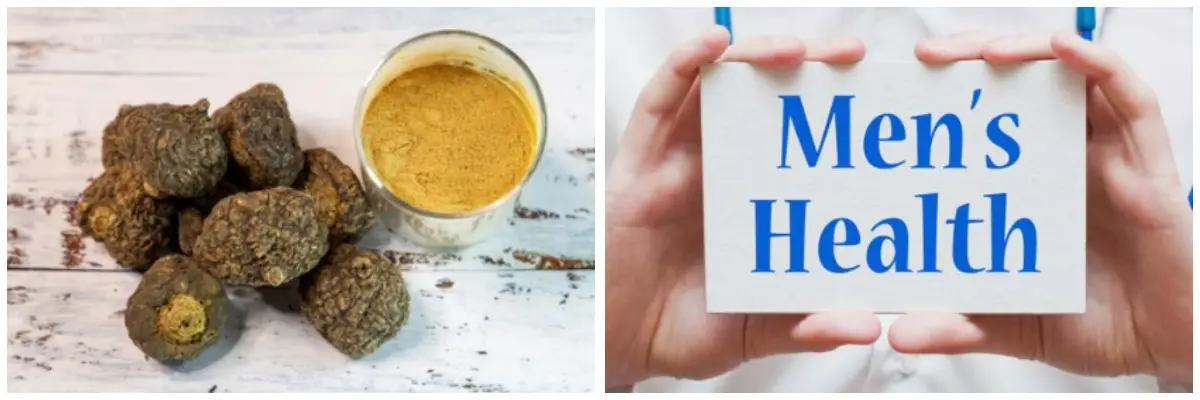maca benefits