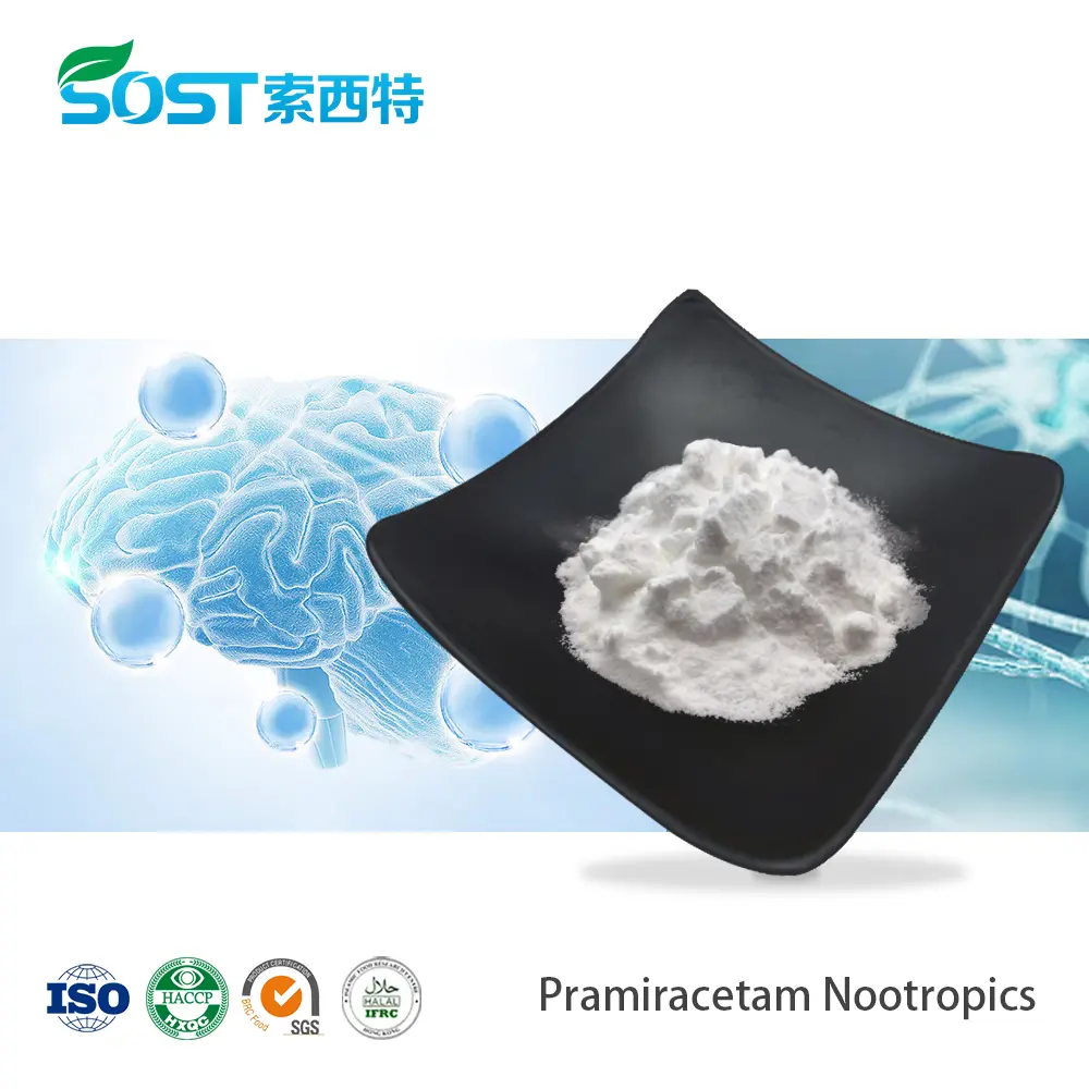 Pramiracetam Nootropics.jpg