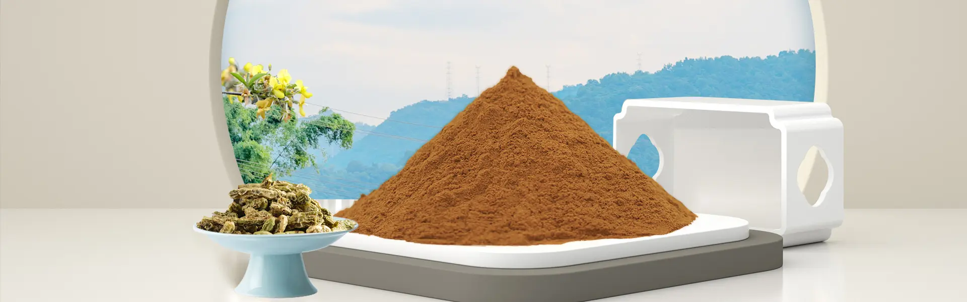 Sophoricoside Sophora Japonica Extract