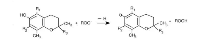 Tocopherol captures free radicals