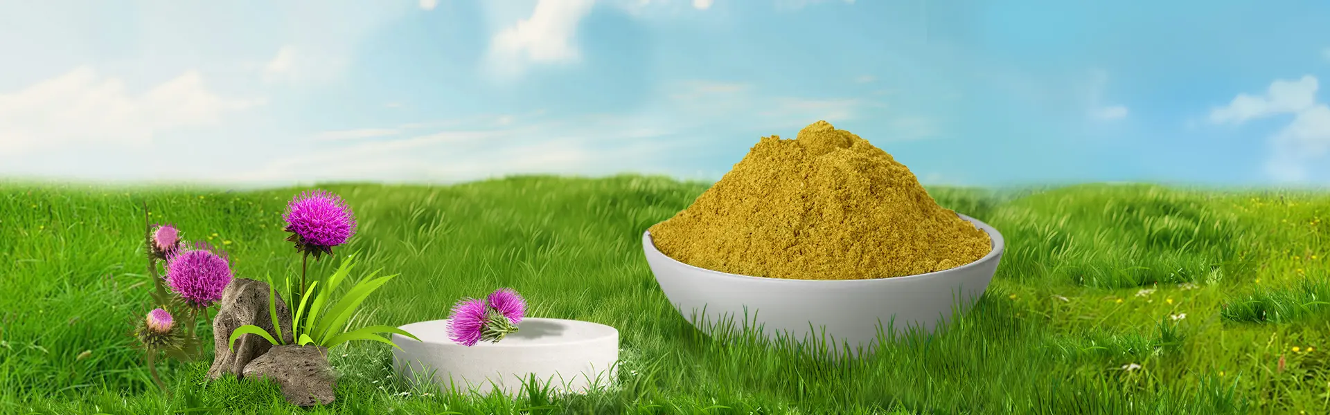 Silymarin Powder