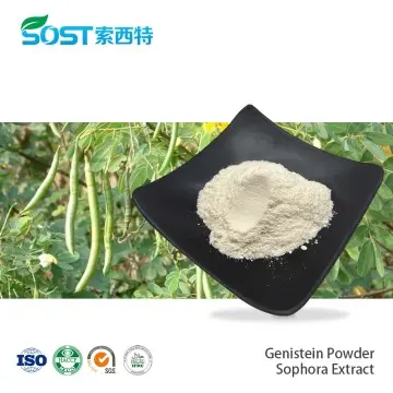 Genistein Powder Sophora Extract