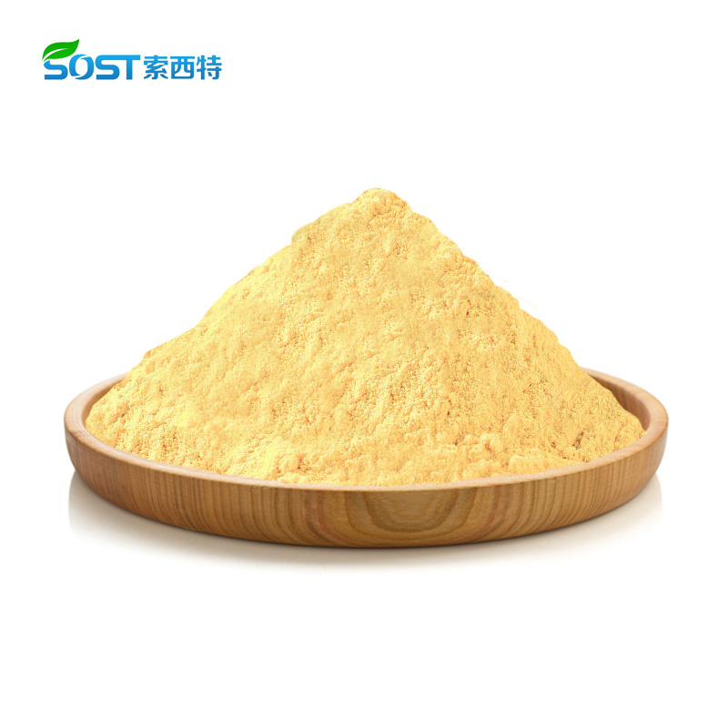 Vitamin A Palmitate Powder