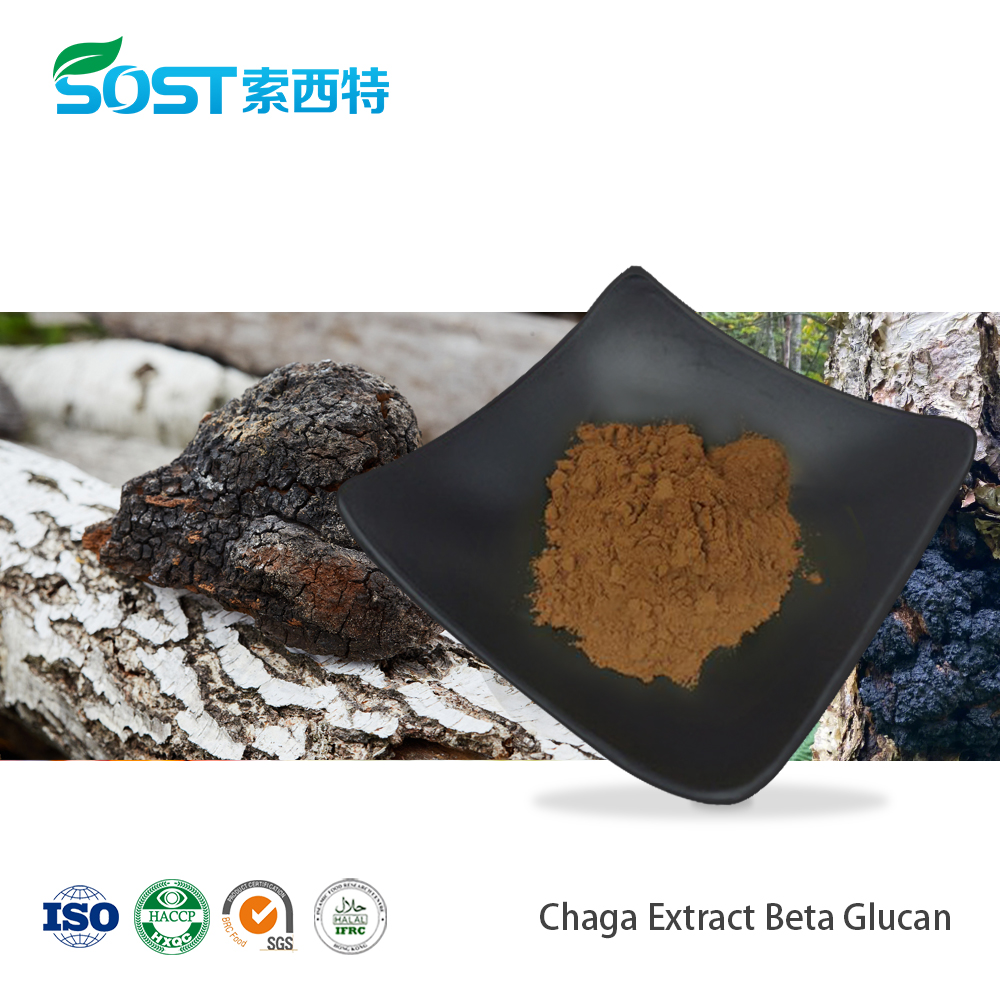 Chaga Extract Beta Glucan.jpg