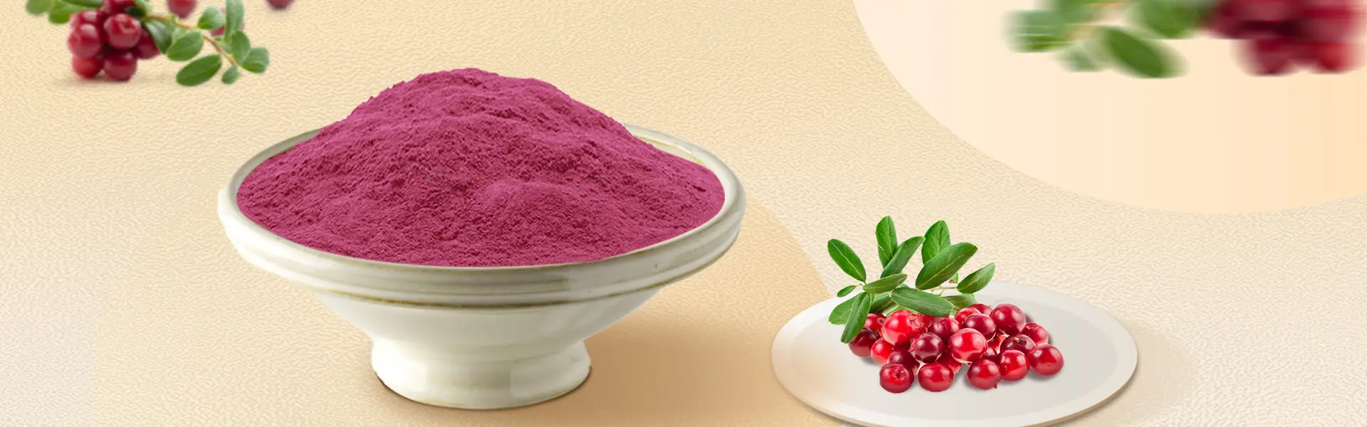 Bilberry Extract anthocyanidins