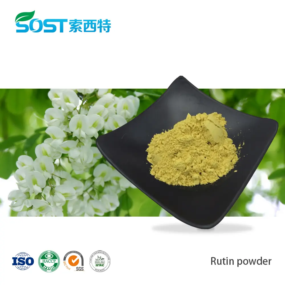 Bulk Rutin Powder