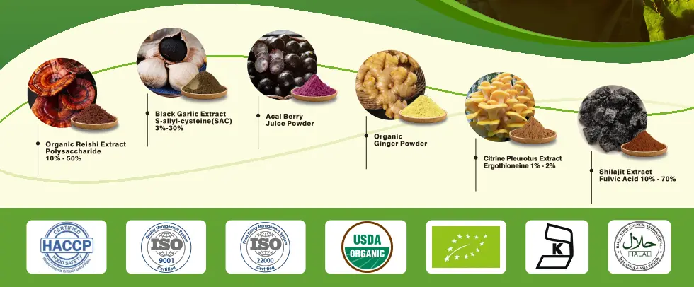 plant extract raw materials-supplyside sost biotech