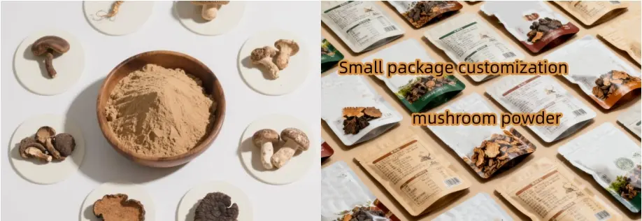 Mushroom Mixes powder manufacturer