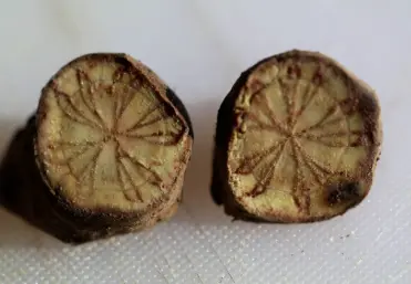 What do kavalactones do?