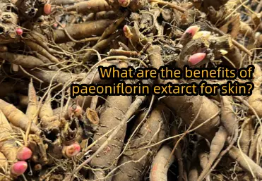 What are the benefits of paeoniflorin extarct for skin?