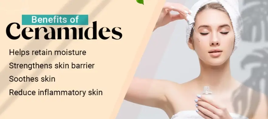 rice bran extract powder ceramides