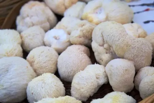 Lion's Mane Polysaccharides (2)