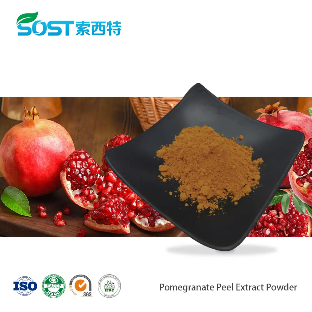 Pomegranate Peel Extract Powder.jpg